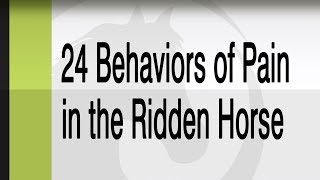 How to Recognize the 24 Behaviors Indicating Pain in the Ridden Horse [upl. by Gothart]