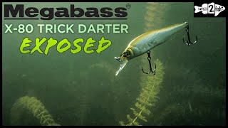 A Look at the Megabass X80 Trick Darter [upl. by Andrien]