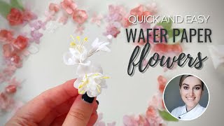 How to make Simple wafer paper white filler flowers and DIY stamens [upl. by Ogata]