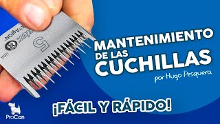 MANTENIMIENTO DE LA CUCHILLAS DE PELUQUERIA CANINA [upl. by Ennaeel]