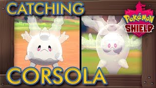 Pokémon Sword amp Shield  How to Catch Corsola amp Evolve it into Cursola [upl. by Notneiuq]