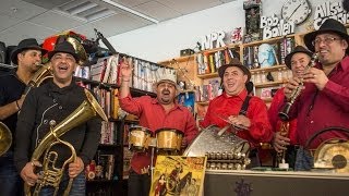 Fanfare Ciocarlia NPR Music Tiny Desk Concert [upl. by Ximenes]