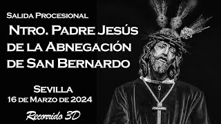 Abnegación de San Bernardo 2024  Recorrido 3D [upl. by Yelahs656]