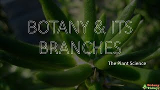 Branches of Botany  Botanical Science Sub branches [upl. by Berkshire81]