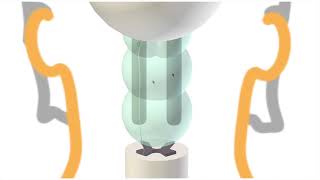 Extrapyramidal Motor Pathways [upl. by Ycat]