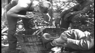 Allied soldiers shave bathe and change clothing at a company rest area in CarenHD Stock Footage [upl. by Mazlack385]