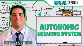 Neurology  Autonomic Nervous System [upl. by Llerred]