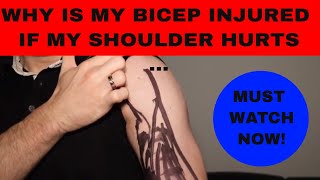 CURLS DONT CUT IT 3 ADVANCED Long Head Biceps Tendon Rehab Exercises [upl. by Neelrac]