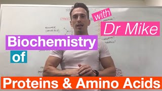 Proteins amp Amino Acids  Biochemistry [upl. by Nivalc]