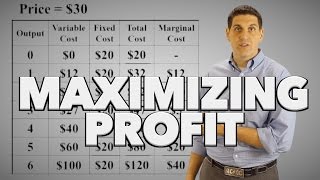 Maximizing Profit Practice [upl. by Hyrup]