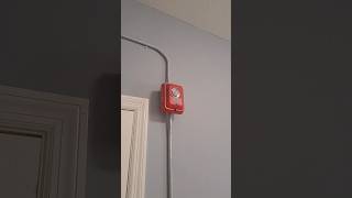 Notifier Fire Alarm Testing [upl. by Elish981]