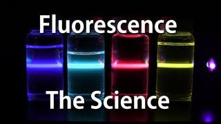 How Fluorescence Works  The Science [upl. by Elleuqram197]