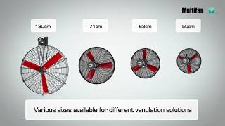 Multifan Dairy Fan for cow barn ventilation [upl. by Leeann]