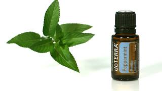 doTERRA® Peppermint Oil Uses and Benefits [upl. by Kieger]