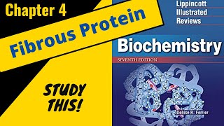 Lippincotts Biochemistry Review Chapter 4 Fibrous Proteins  Study This [upl. by Kirsch608]