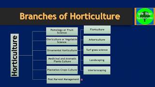 Horticulture and its Branches [upl. by Kizzee363]