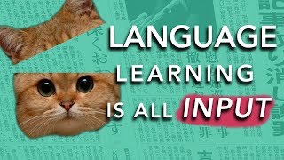 How to Learn a Language INPUT Why most methods dont work [upl. by Anaehr342]