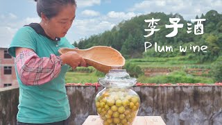 簡單方法釀李子酒How to make fruit wine with plums【鄉野蓮姐】 [upl. by Powers929]