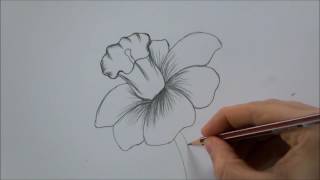 How To Draw a Flower step by step In 6 Minutes [upl. by Eellehs]