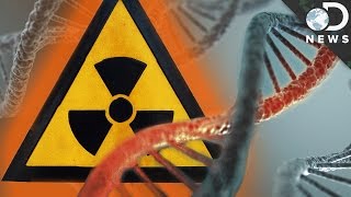 How Radiation Changes Your DNA [upl. by Eillit352]