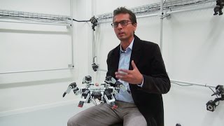 SixLegged Robots Faster Than NatureInspired Gait [upl. by Eiramlehcar]