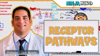 Endocrinology  Receptor Pathways [upl. by Constantin946]