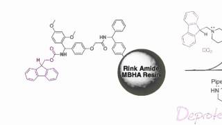 Fmoc Solid Phase Peptide Synthesis [upl. by Rechaba]