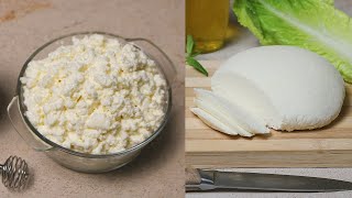 Cottage Cheese Recipe  Homemade Cottage Cheese [upl. by Boice]