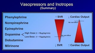 Shock Lesson 5  Pressors [upl. by Zwart]