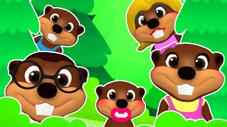 quotFinger Family Beavers Popquot  Childrens Nursery Rhyme Animal Song for Kids 3D Learning [upl. by Asirram933]