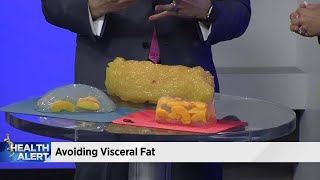 Avoiding visceral fat [upl. by Lauder318]