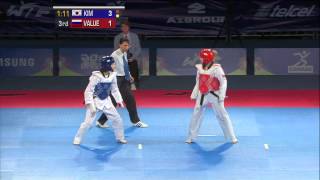 2013 WTF World Taekwondo Championships Final  Female 46kg [upl. by Neenad]