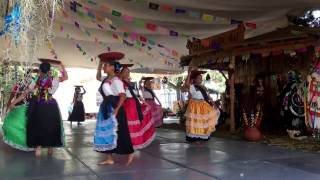 Danza Típica de Michoacán [upl. by Aniweta138]