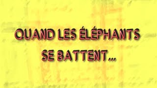 QUAND LES ELEPHANTS SE BATTENT EP26 BURKINA FASO [upl. by Ronnholm]