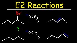 E2 Reaction Mechanism  Hoffman Elimination vs Zaitsevs Rule [upl. by Perkoff]