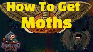 How to Get Moths in Graveyard Keeper [upl. by Enyamrahc864]