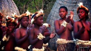 Beautiful Traditional African Zulu Dancing Africa Travel Channel [upl. by Niatirb]