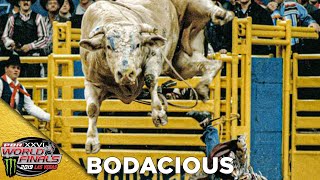 BODACIOUS Receives the 2019 BRAND OF HONOR [upl. by Teddie]