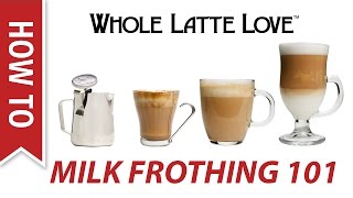 Milk Frothing for Beginners [upl. by Ellissa]