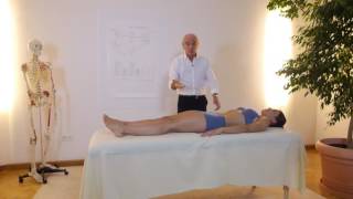 JEANPIERRE BARRAL  Advanced Visceral Manipulation  General overview  Trailer [upl. by Nairbal]