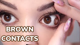 Brown Contact Lenses  Brown amp Honey Freshlook Colorblends [upl. by Aiyekal]