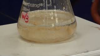 Synthesis of Acetanilide [upl. by Alahs]