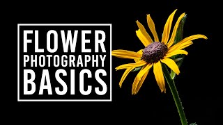 Flower Photography Tips for Beginners amp Macro Photography Ideas [upl. by Neryt]