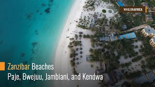 How Zanzibar Beaches Look Like in 2019 Paje Bwejuu Jambiani and Kendwa [upl. by Bili]