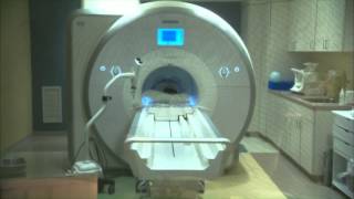 Understanding MRI Brain Scans and Their Importance [upl. by Bernardi]