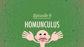 Homunculus Crash Course Psychology 6 [upl. by Shelburne]