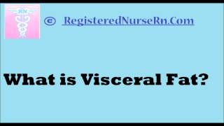 What is Visceral Fat [upl. by Ocirederf]