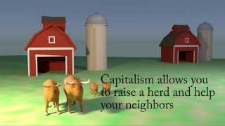 Two Cows explain capitalism over socialism [upl. by Ttennaej333]