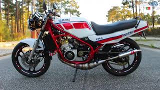 RD 350 YPVS  Walkaround video 12 000rpm [upl. by Artcele]