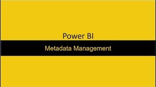 19 How to handle metadata in Power BI [upl. by Llohcin943]